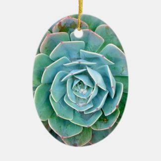 Succulent Keramisch Ornament