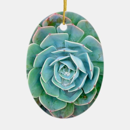Succulent Keramisch Ornament (Voorkant)