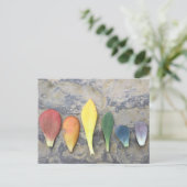 succulent leaf rainbow briefkaart (Staand voorkant)