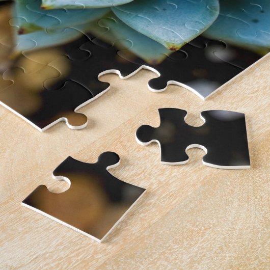 Succulent Legpuzzel (Zijkant)