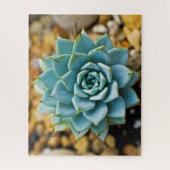 Succulent Legpuzzel (Verticaal)