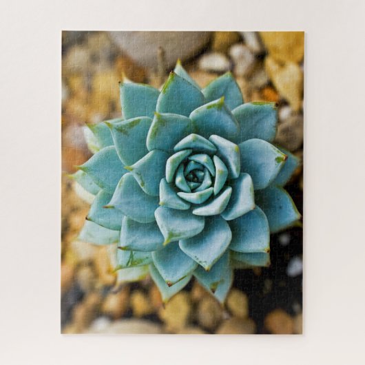 Succulent Legpuzzel (Verticaal)