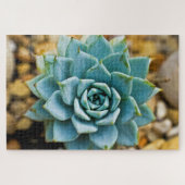 Succulent Legpuzzel (Horizontaal)
