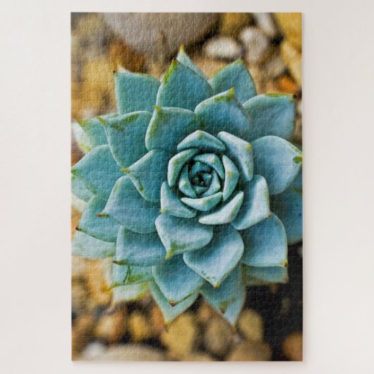 Succulent Legpuzzel (Verticaal)