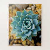 Succulent Legpuzzel (Verticaal)
