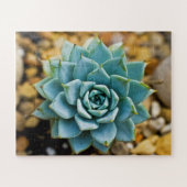 Succulent Legpuzzel (Horizontaal)