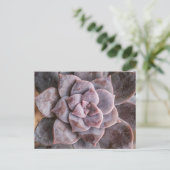 Succulent Love Briefkaart (Staand voorkant)