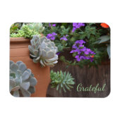 Succulent Lover Gratitude Magneet (Horizontaal)
