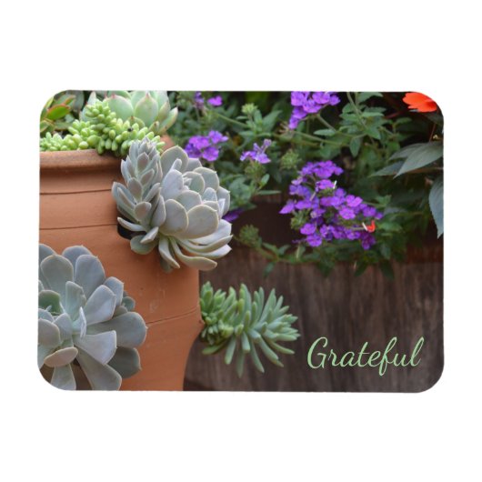 Succulent Lover Gratitude Magneet (Horizontaal)