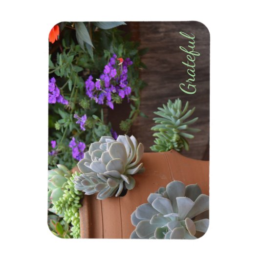 Succulent Lover Gratitude Magneet (Verticaal)
