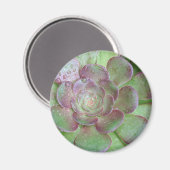 Succulent Magneet (Voorkant / Achterkant)