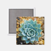 Succulent Magneet (Voorkant / Achterkant)