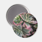 Succulent Magneet (Voorkant / Achterkant)