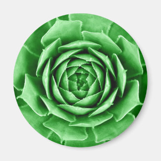 Succulent Magneet