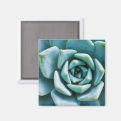 Succulent Magneet (Voorkant / Achterkant)