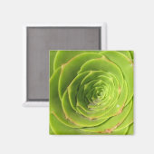 Succulent Magnet (Voorkant / Achterkant)