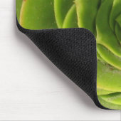 Succulent Muismat (Hoek)