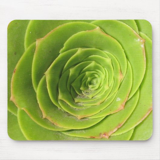 Succulent Muismat (Voorkant)