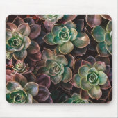 Succulent Muismat (Voorkant)