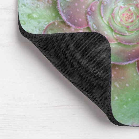 Succulent Muismat (Hoek)