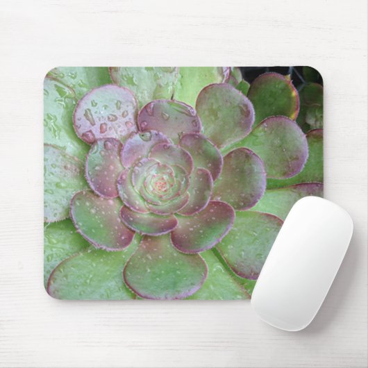 Succulent Muismat (Met muis)