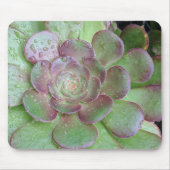 Succulent Muismat (Voorkant)