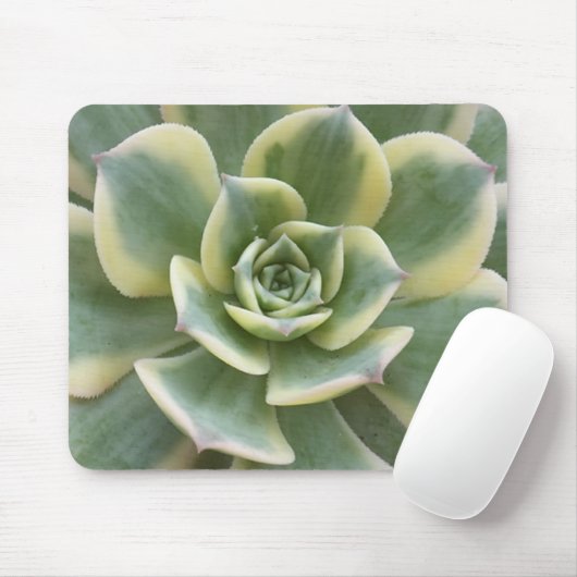 Succulent Muismat (Met muis)