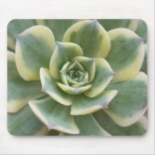 Succulent Muismat (Voorkant)