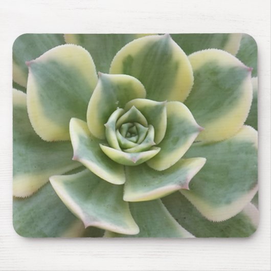 Succulent Muismat (Voorkant)
