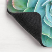 Succulent Muismat (Hoek)