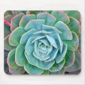 Succulent Muismat (Voorkant)