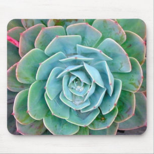 Succulent Muismat