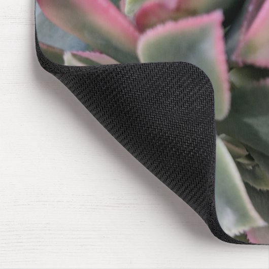 Succulent Muismat (Hoek)