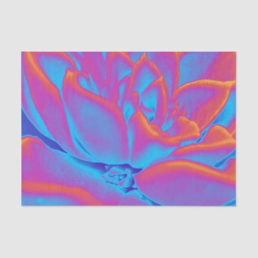 Succulent mysterie tissuepapier (Voorkant)