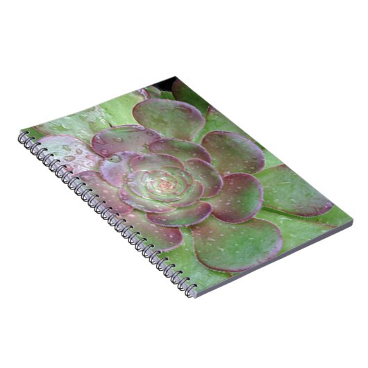 Succulent Notitieboek (Rechterzijde)
