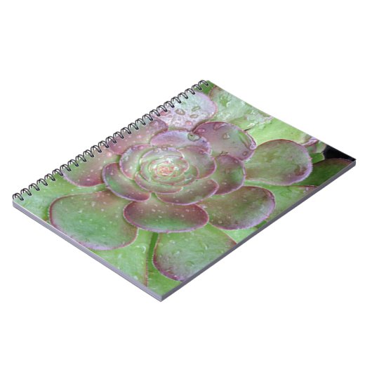 Succulent Notitieboek (Linkerzijde)