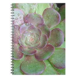 Succulent Notitieboek
