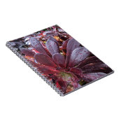 Succulent Notitieboek (Rechterzijde)