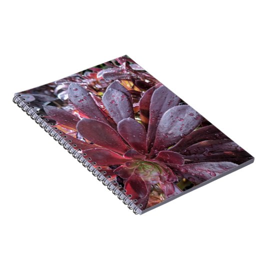 Succulent Notitieboek (Rechterzijde)