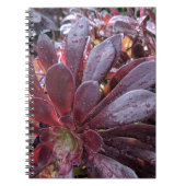 Succulent Notitieboek (Voorkant)