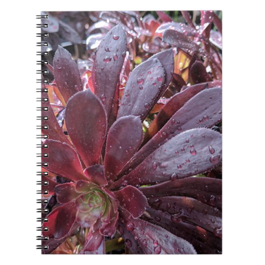 Succulent Notitieboek (Voorkant)
