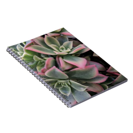 Succulent Notitieboek (Rechterzijde)