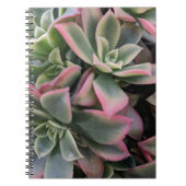 Succulent Notitieboek (Voorkant)