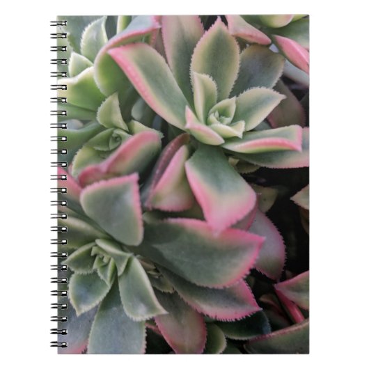 Succulent Notitieboek (Voorkant)