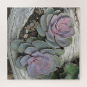 Succulent op driftwood legpuzzel (Horizontaal)