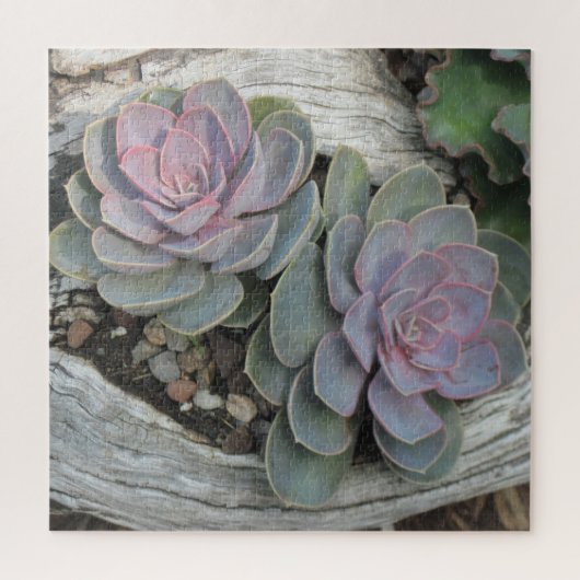 Succulent op driftwood legpuzzel (Verticaal)