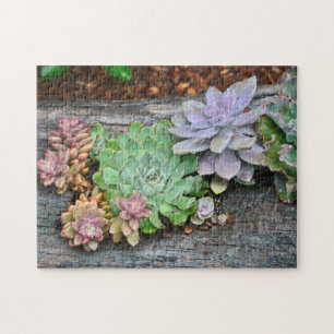 Succulent op driftwood legpuzzel