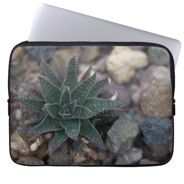 Succulent op Rocks Laptop Sleeve (Voorkant)