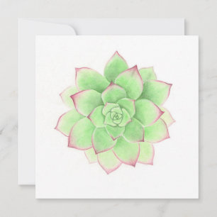 Succulent - Origineel kunstwerk van Meghan Russell Feestdagenkaart