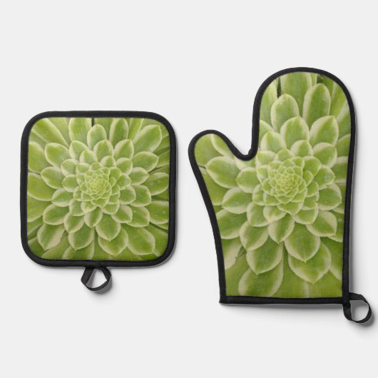 Succulent Oven Mitt en Pot Houder Ovenwant & Pannenlap Set (Voorkant)